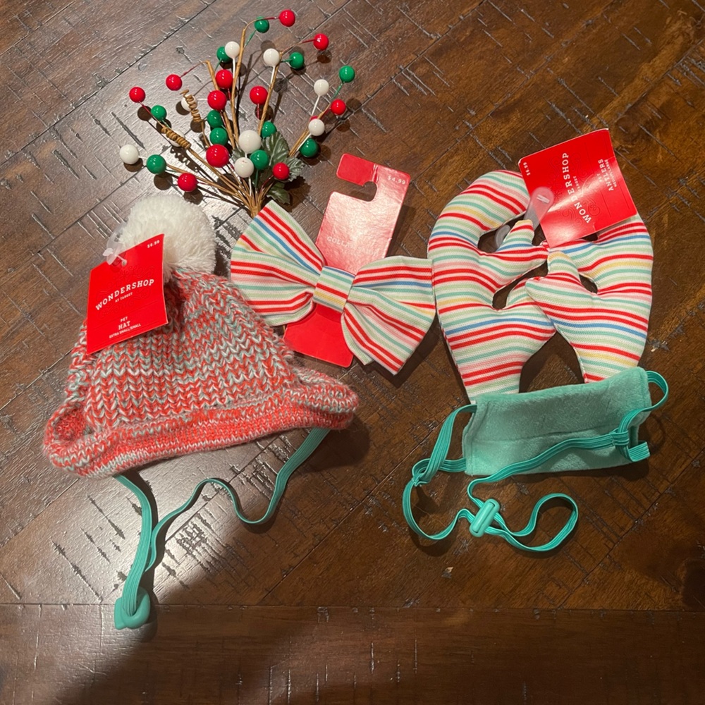 💚4/$20 Holiday Theme Pet Accessories Bundle